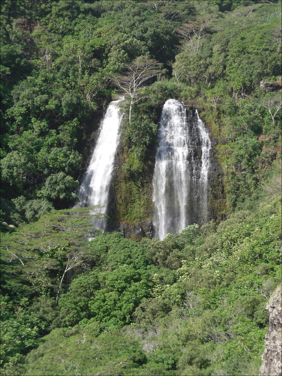 Opaekaa Falls